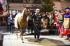 Immagine <b>REG_8111</b>